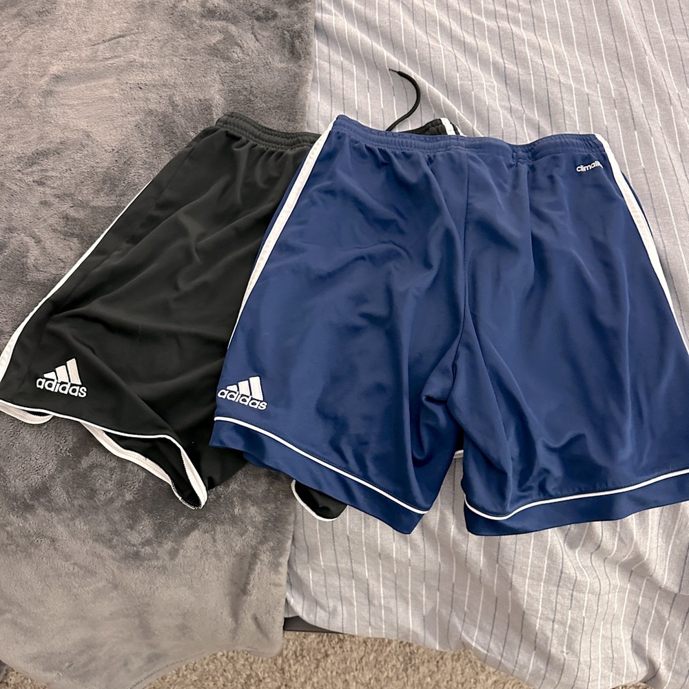 Adidas Gym Shorts